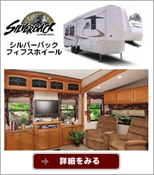 �V���o�[�o�b�N�t�B�t�X�z�C�[���ڍ׃y�[�W��